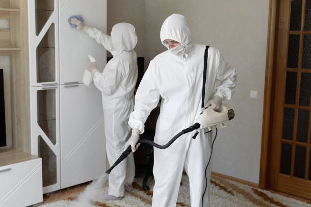 Best Toxic Mold Removal  in Banner Hill, TN